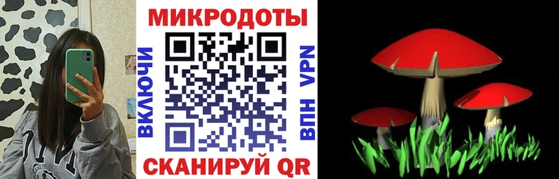 Псилоцибиновые грибы GOLDEN TEACHER Адыгейск