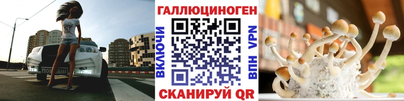 Псилоцибиновые грибы Cubensis  купить наркотики цена  дарк нет клад  Адыгейск 